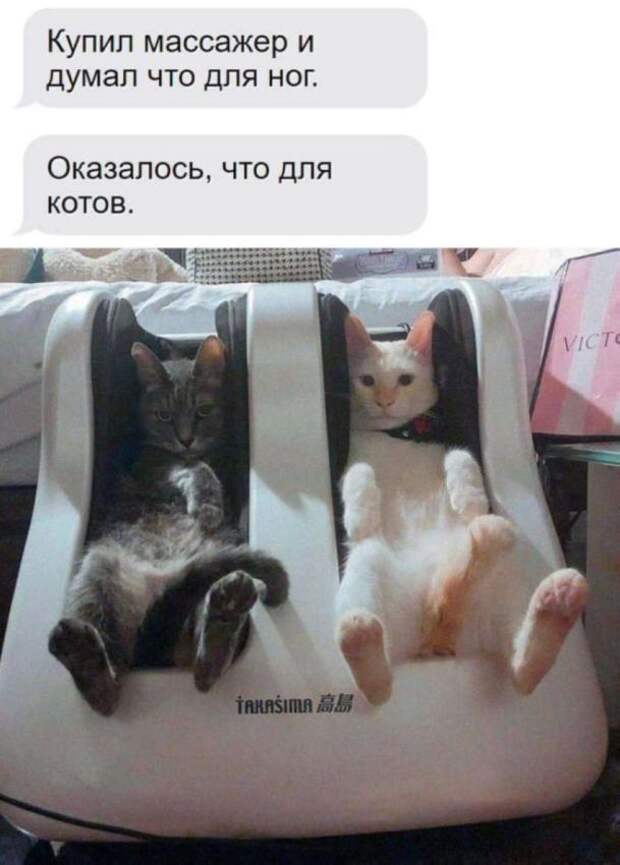 мемы
