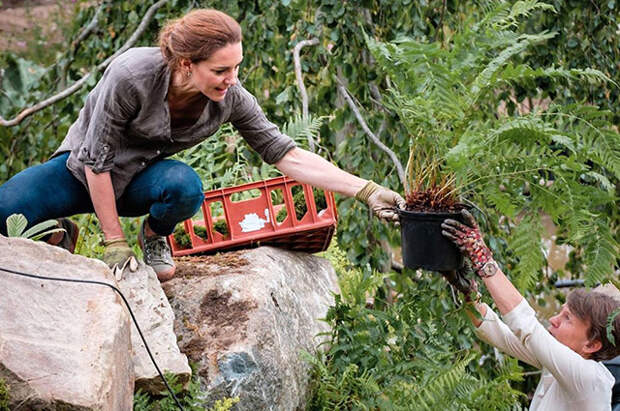 Кейт Миддлтон объявила об открытии цифровой выставки цветов в саду Челси