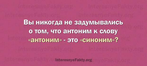 Особенности русского языка - INFOnotes