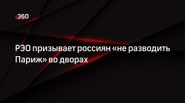 РЭО призывает россиян «не разводить Париж» во дворах