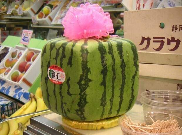 В японских магазинах продают квадратные арбузы - их специально выращивают в ящиках, чтобы они приняли такую форму