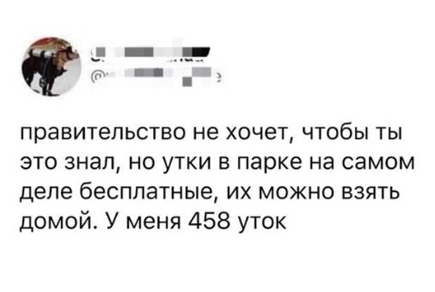 накопилось тут...
