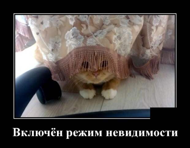 Демотиваторы (30 фото)
