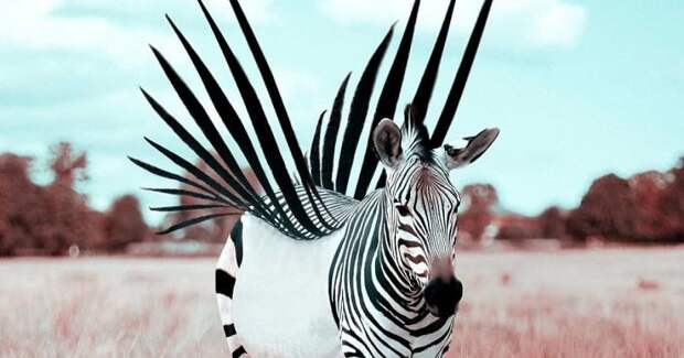 French Artist Cleverly Uses Photoshop To Create Fantastical Animals, And The Result Is Amazing