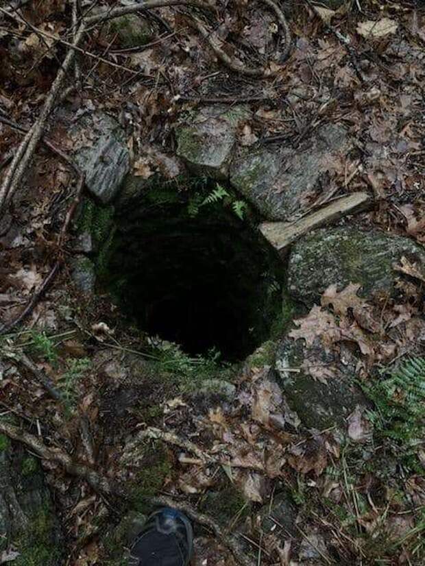 спасение щенка яма в земле