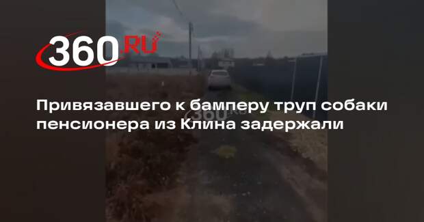 Прокуратура: в Клину задержали пенсионера за жестокое обращение с животными