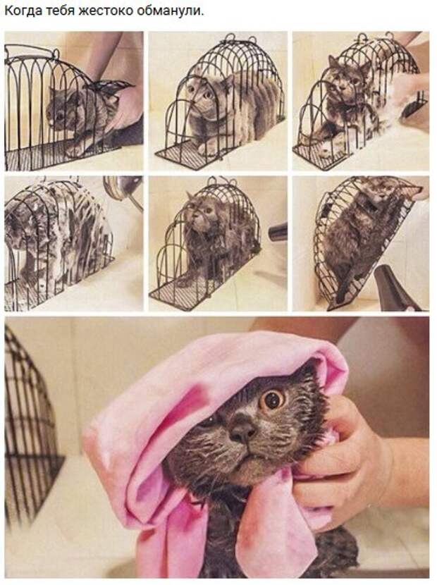 Нестандартный юмор :)