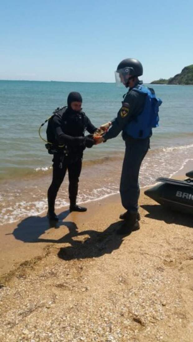 Смотрите, что море на пляж вынесло. Пиротехники МЧС обезвредили два десятка боеприпасов на востоке Крыма