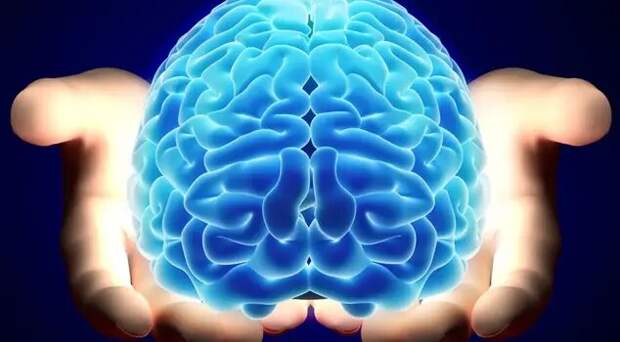 Невролог предупреждает: эти 11 привычек убивают ваш мозг. Проверьте себя!