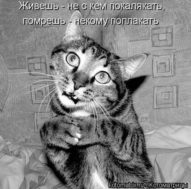 Живешь - не с кем покалякать Живешь - не с кем покалякать