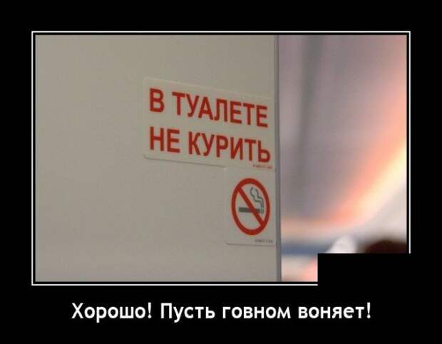 Демотиватор про туалет