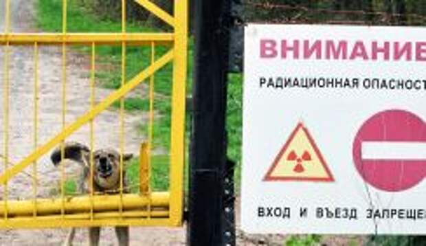 России грозит радиоактивная анархия