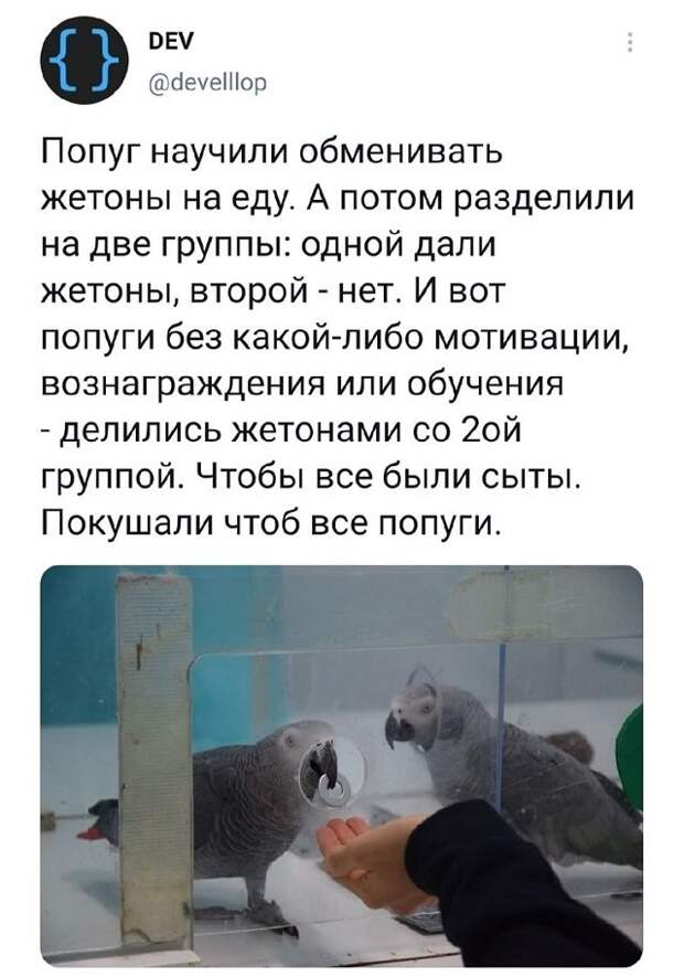 Подборка забавных твитов обо всем Подборка забавных твитов обо всем