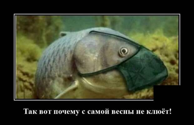Демотиватор про рыбалку