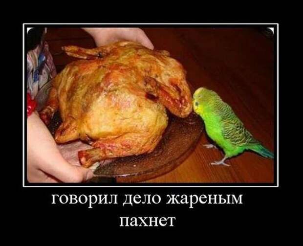 Забавные и веселые демотиваторы для настроения (10 фото) Забавные и веселые демотиваторы для настроения (10 фото)
