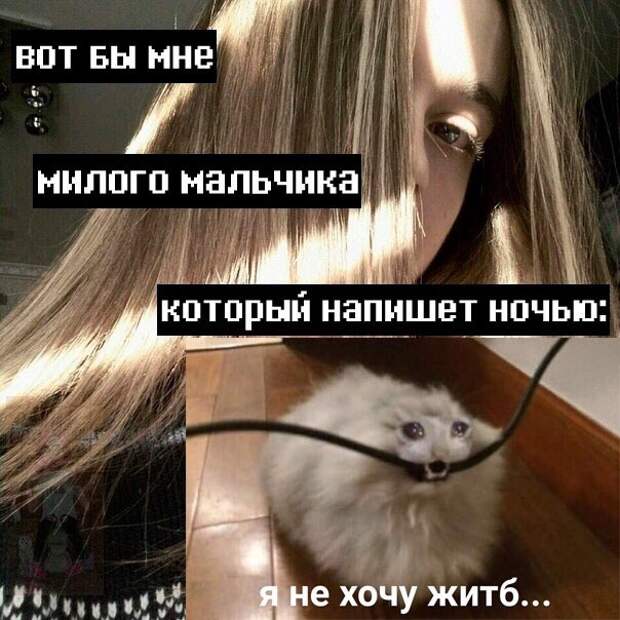 Вот бы мне милого мальчика, который напишет ночью