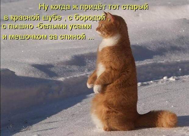 1325250301-1325212520_1325016106_5 (640x462, 150Kb)