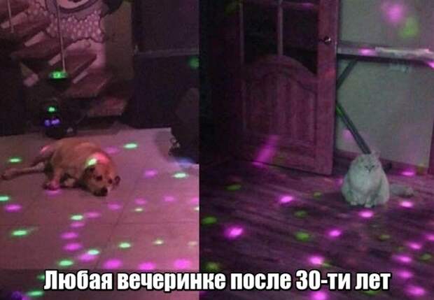 Прикольные картинки абавсём:D