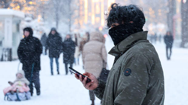 Экономист оценил идею о переводе россиян на удаленку во время сильных снегопадов