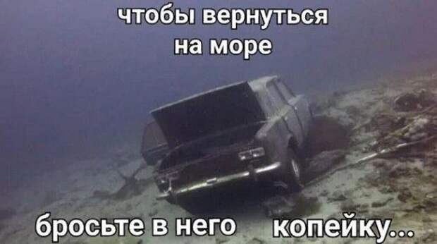 Позитивные картинки с приколами!