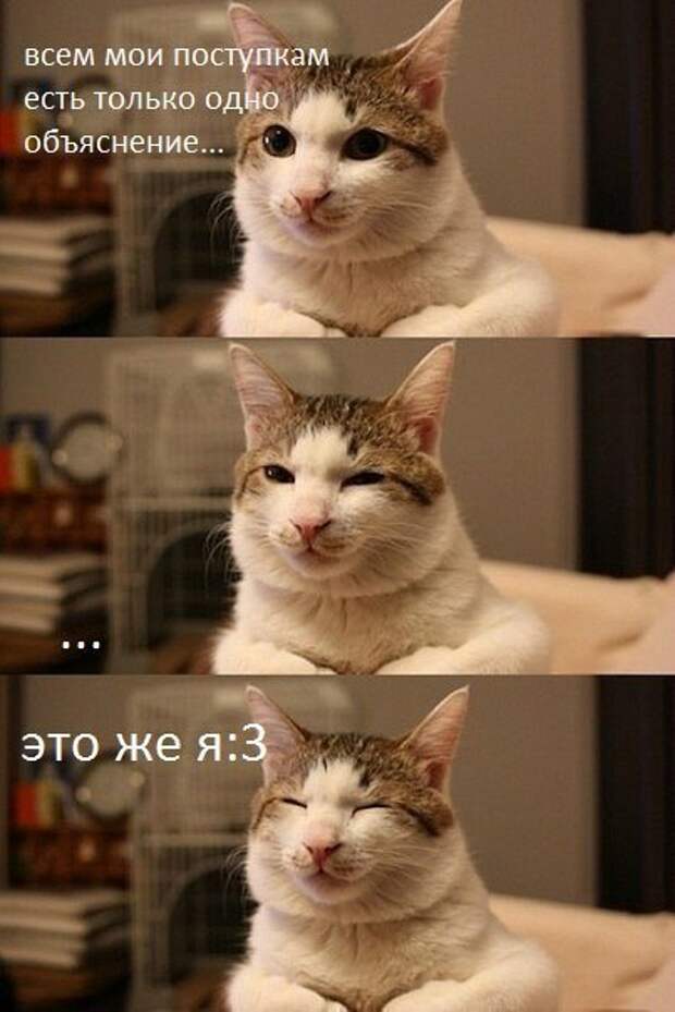 Всяко - разно 6  )))