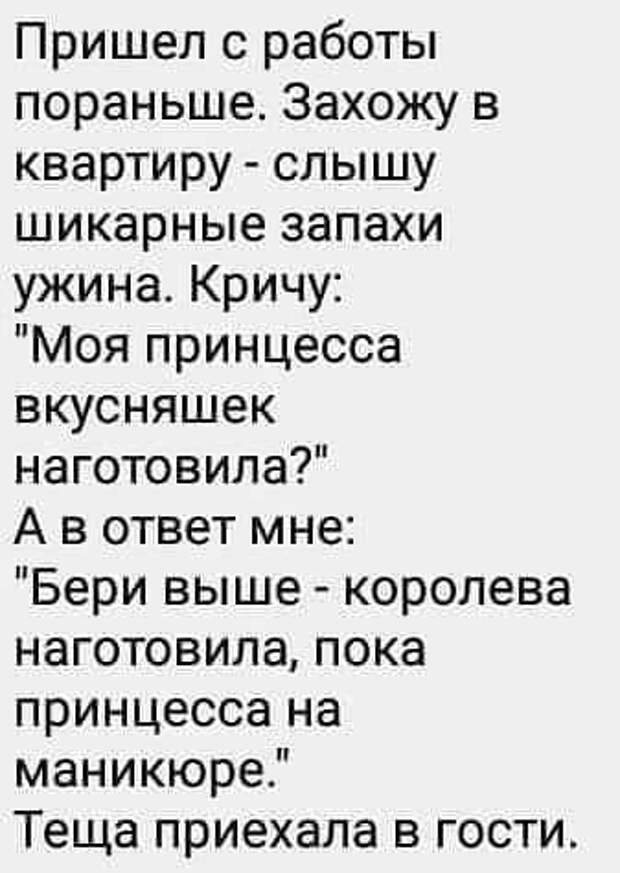 22 классных веселых анекдота