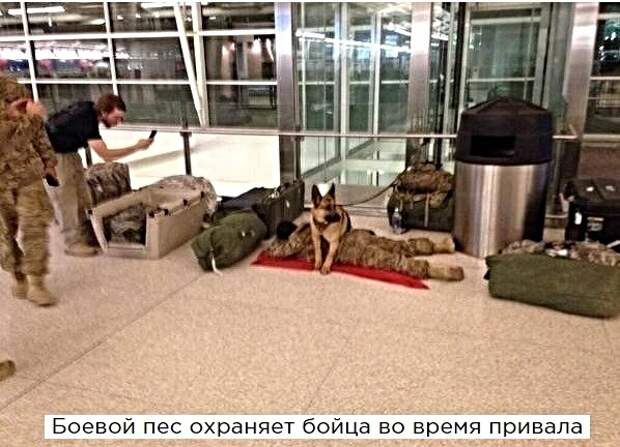 Анекдоты, истории и картинки с надписями