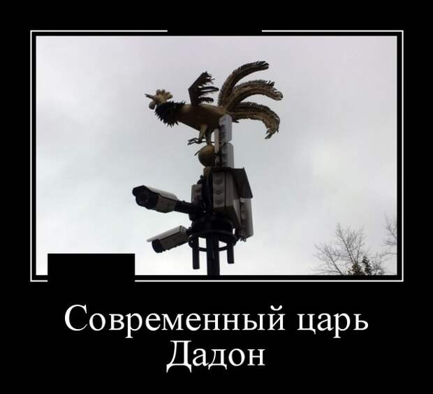 Демотиваторы (20 фото)