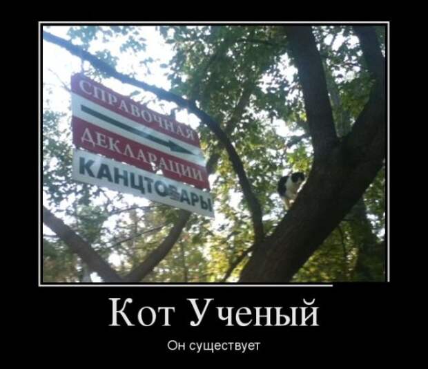 Демотиваторы (30 фото)