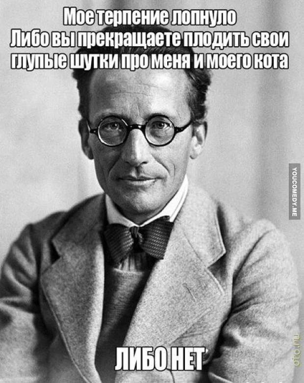 Кот Шрёдингера