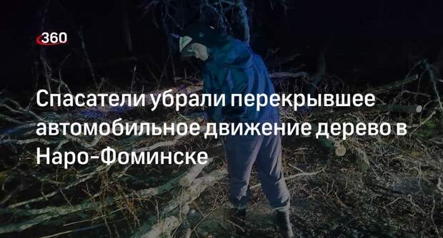 Спасатели убрали перекрывшее автомобильное движение дерево в Наро-Фоминске