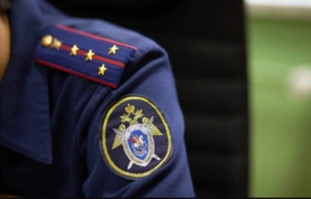 Председателю СК России будет представлен доклад о предварительных результатах расследования уголовного дела о нападении собаки на женщину в Приморском крае