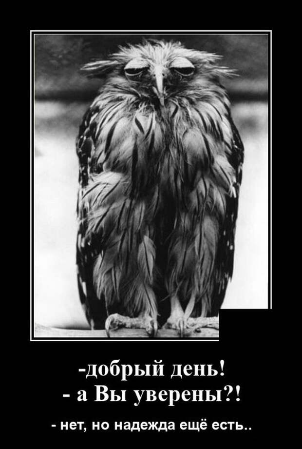 Демотиватор про доброе утро