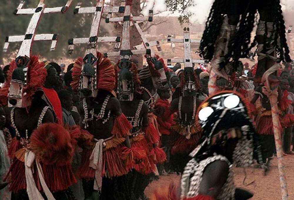 Ритуальные танцы племен. Догоны племя. Народ Манден. Заражение догоны ава. Догоны много народа фото.