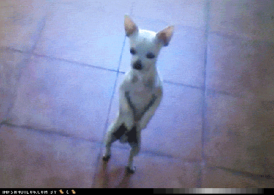 � �������� �� ����� ���