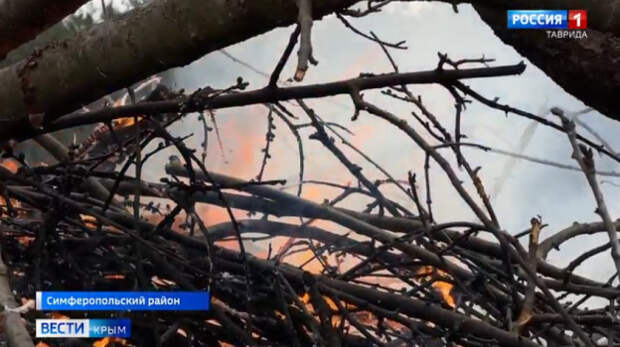 В Крыму стартовала подготовка к пожароопасному сезону