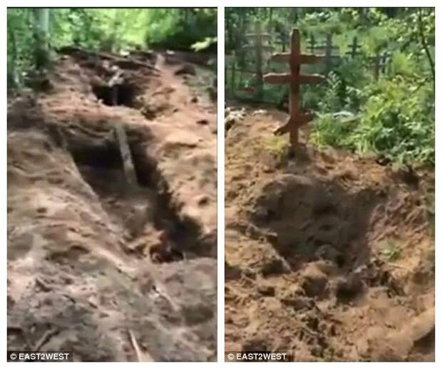 Видео: медведи раскопали кладбище на Камчатке ynews, и такое бывает, камчатка, кладбище, медведи, медведь, хищник
