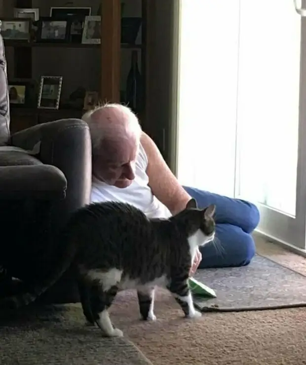 10 людей, которые вначале были против «грязного кота», но потом что-то пошло не так