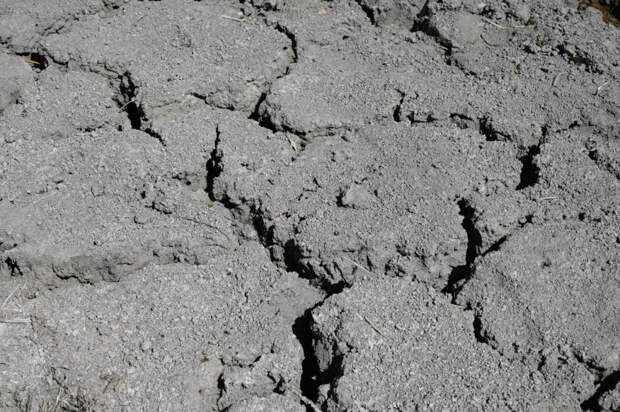 Сейсмолог объяснил особенность землетрясения в Азовском море