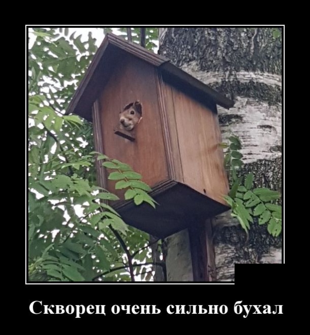 Демотиваторы (30 фото)