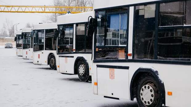 Ровно через месяц в Петербурге запустят автобус-замену маршрутки №279