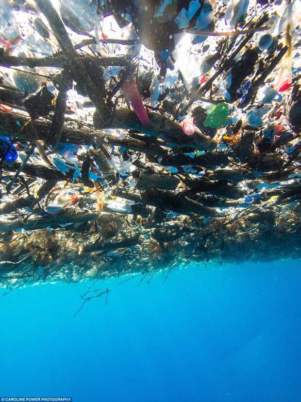 В Карибском море обнаружили "остров" из пластиковых отходов загрязнение, мусор, океан, отходы, природа, фото, шок, экология