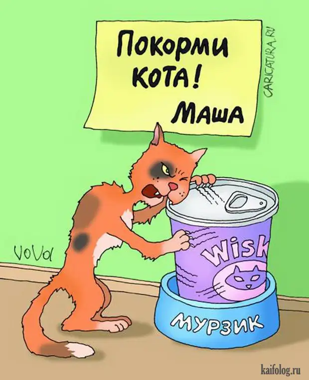 Анекдот про кота в картинках