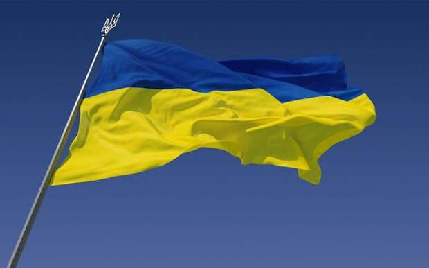 Тейлор-Грин: Украина не проводит мобилизацию, а похищает людей