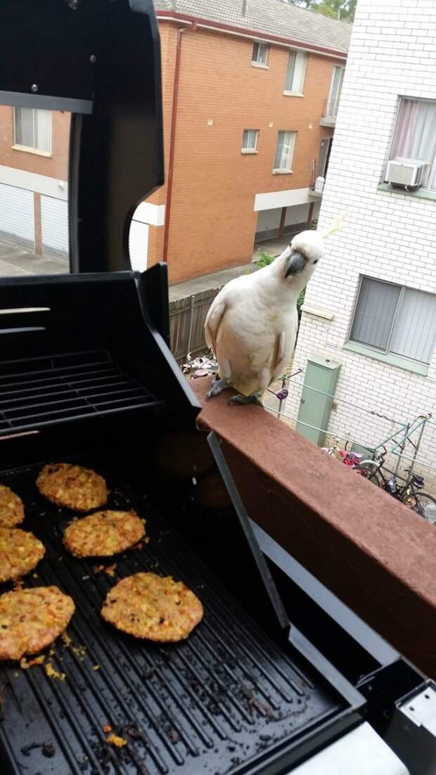 Удивляемся и машем