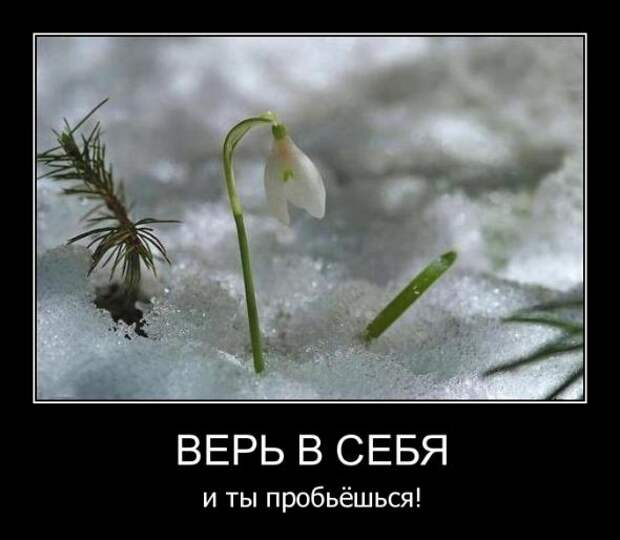 Картинки в черных рамочках  