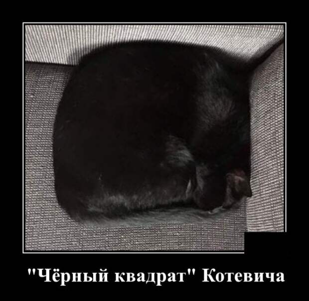 Демотиваторы (20 фото)