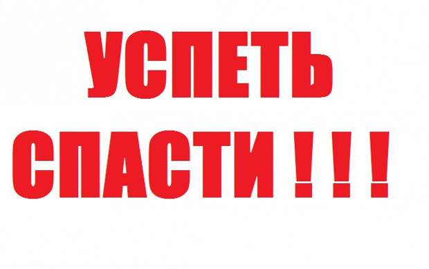 Просим вас, откликнитесь! Пожилая женщина в одиночку борется за жизнь малышей...