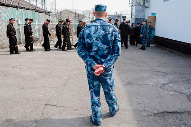 «Ты зверь, тебя не жалко» Как сотрудники ФСИН оправдывают пытки в российских колониях и тюрьмах
