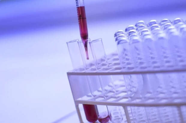 В Совбезе предложили расширить список граждан, обязанных регистрировать ДНК